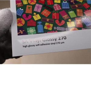 Self-Adhesive Cat